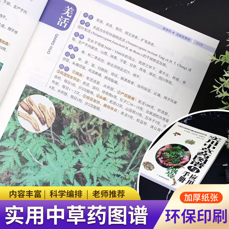 Wellness Herbal Medicine - أطلس ودليل الأعشاب العملي: مجموعة الطب
