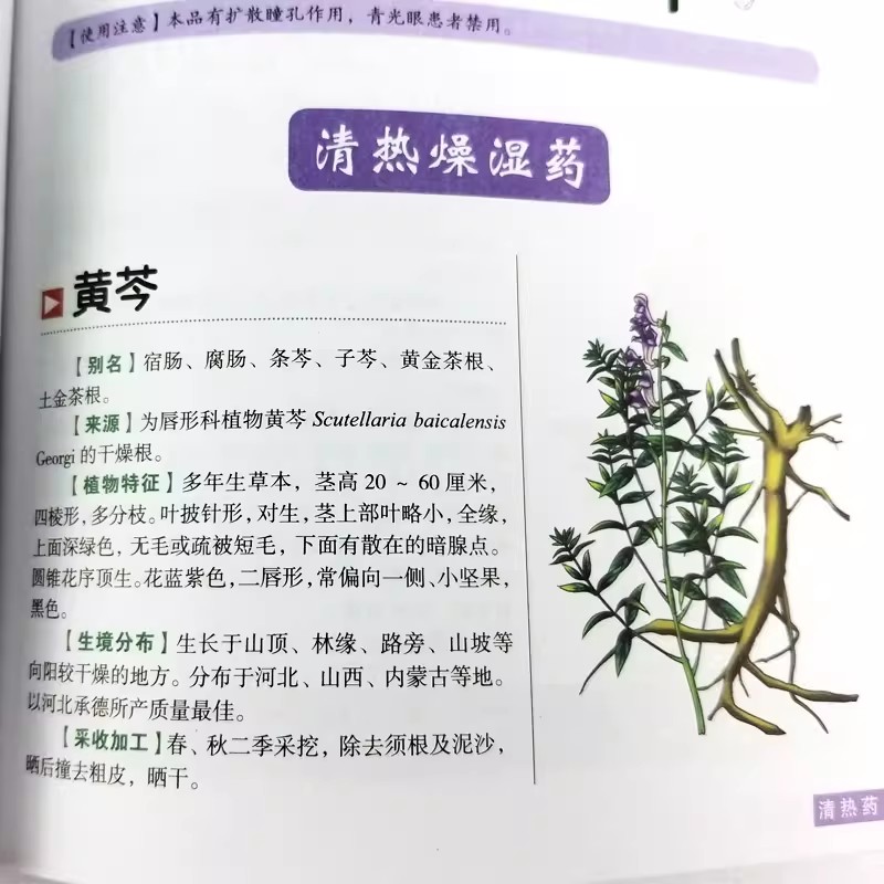 كتاب الدليل الشامل للعافية من  - مراجعة Wellness Herbal Medicine وسعره