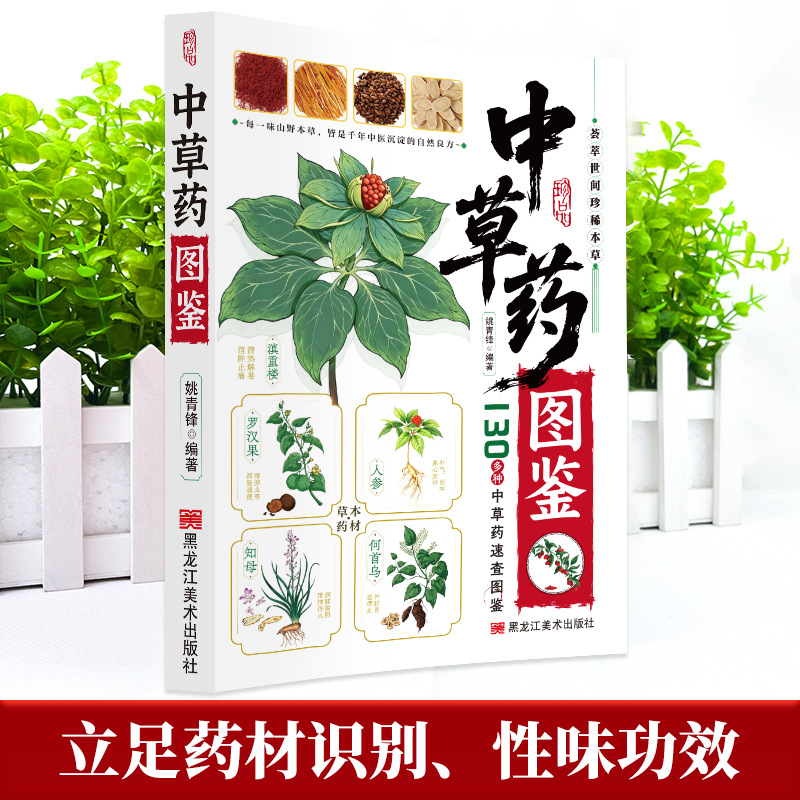 دليل مصور للطب الصيني العشبي:  - مراجعة Wellness Herbal Medicine وسعره