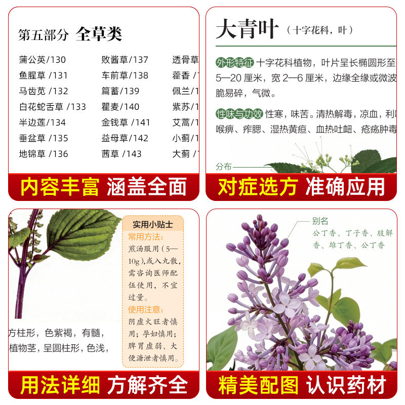دليل مصور للطب الصيني العشبي:  - مراجعة Wellness Herbal Medicine وسعره